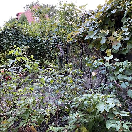 Apartamenty Lux Slowackiego, Przemyśl Εξωτερικό φωτογραφία